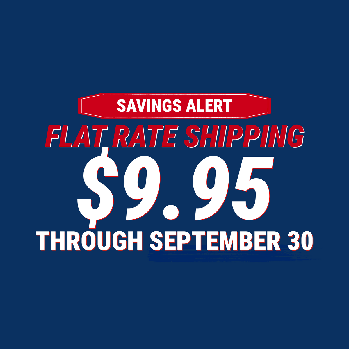 Flat Rate Shipping $9.95