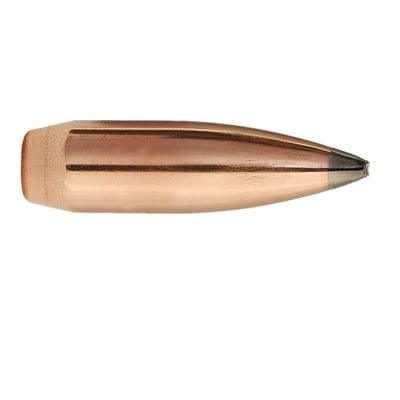 Factory Seconds .243 Diameter 80 Grain Polymer Tip 500 Count Bullets