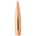Factory Seconds .243 / 6mm 110 Grain Hollow Point Boat Tail (500)