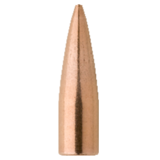 Factory Seconds .308 / 30 125 Grain Hollow Point (500)