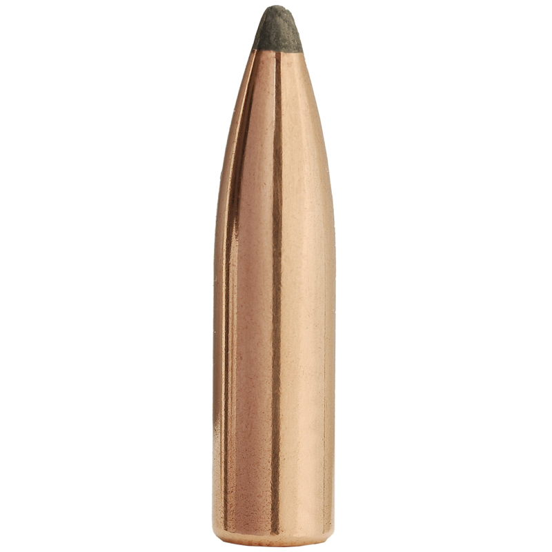 Sierra .243 / 6mm 100 Grain Spitzer Pro-Hunter (100)