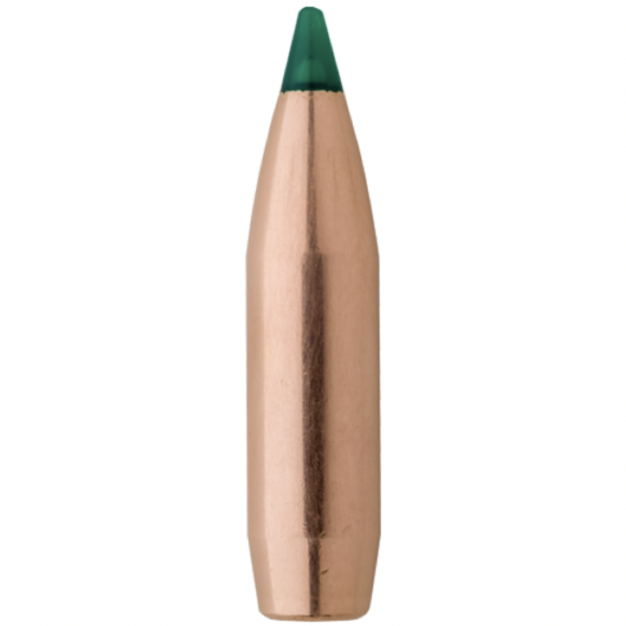 Sierra .308 Diameter 180 Grain Polymer Tip Tipped GameKing Bullets