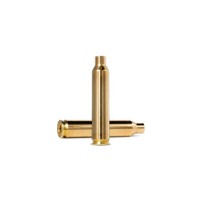 Sierra Brass 204 Ruger 100 Count