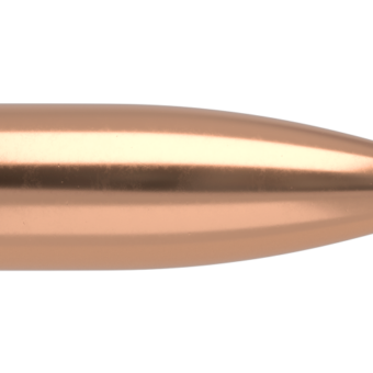 Nosler .224 Diameter 40 Grain Polymer Tip Ballistic Tip 100 Count Bullets