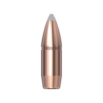 Pull Down .308 Diameter (30-30 Winchester) 160 Grain Polymer Tip 100 Count Bullets